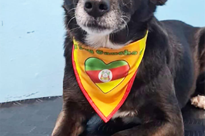 Chispita é a primeira pet enterrada no Cemitério de Guaíba e no RS