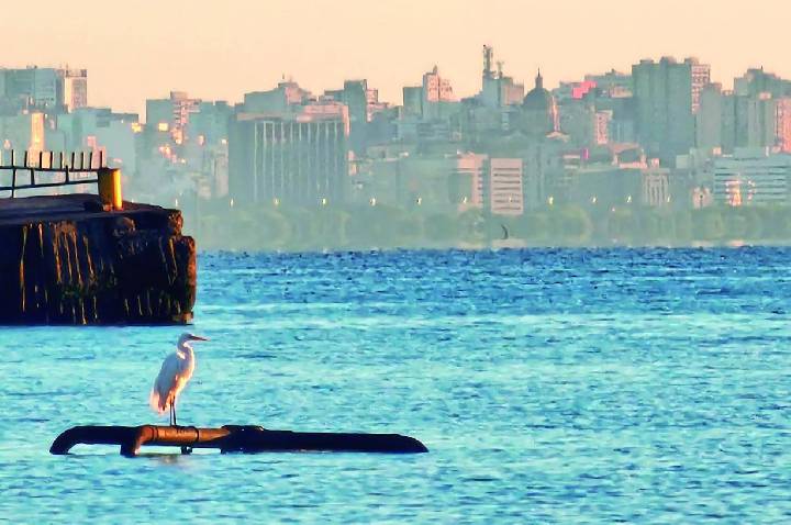 Guaíba avança com o Projeto “Guaíba Mais Resiliente”