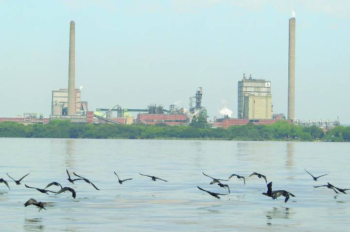 MPF ajuíza ação de licenciamento ambiental da CMPC