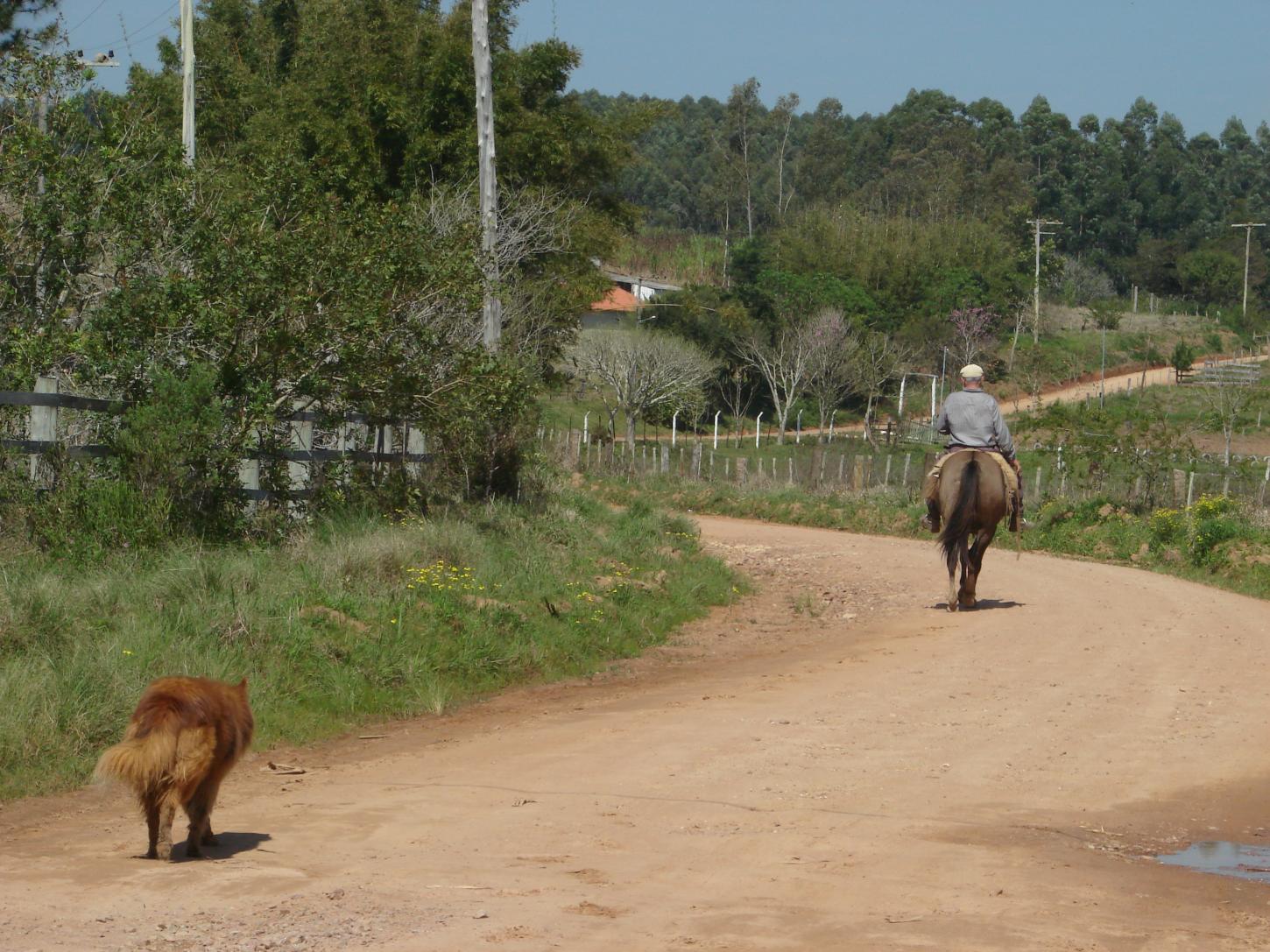 Tempo estável e temperadas baixas nos próximos dias no Estado