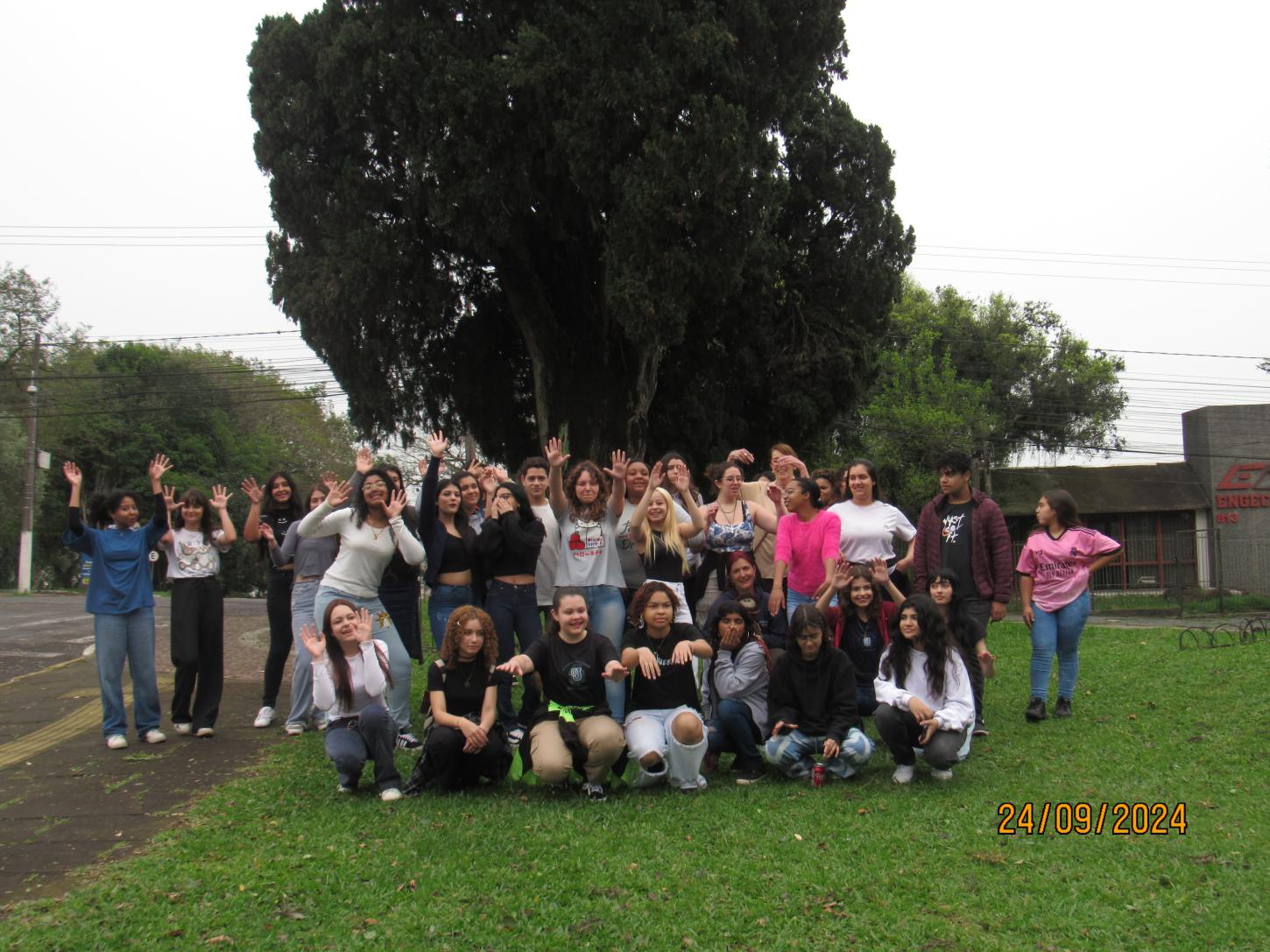 Hoje é dia do Cipreste, árvore símbolo de Guaíba