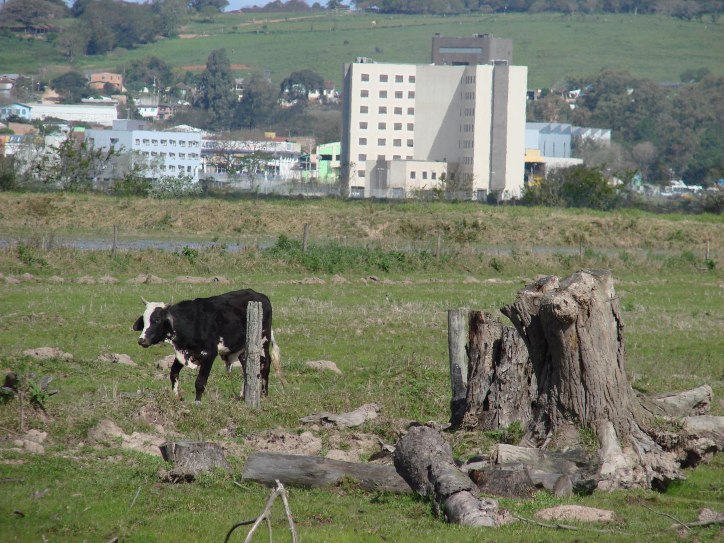 Rio Grande do Sul terá tempo estável durante o fim de semana
