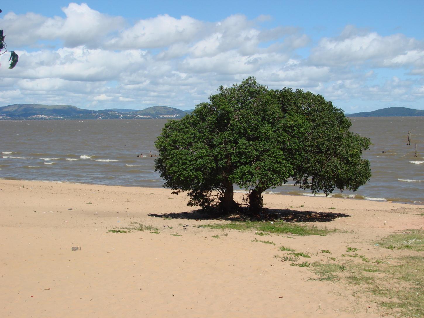 Natal da Alegria é transferido