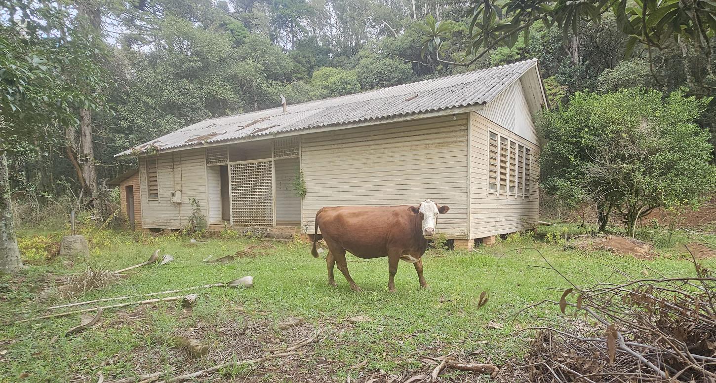 Uma tarde guardada no tempo
