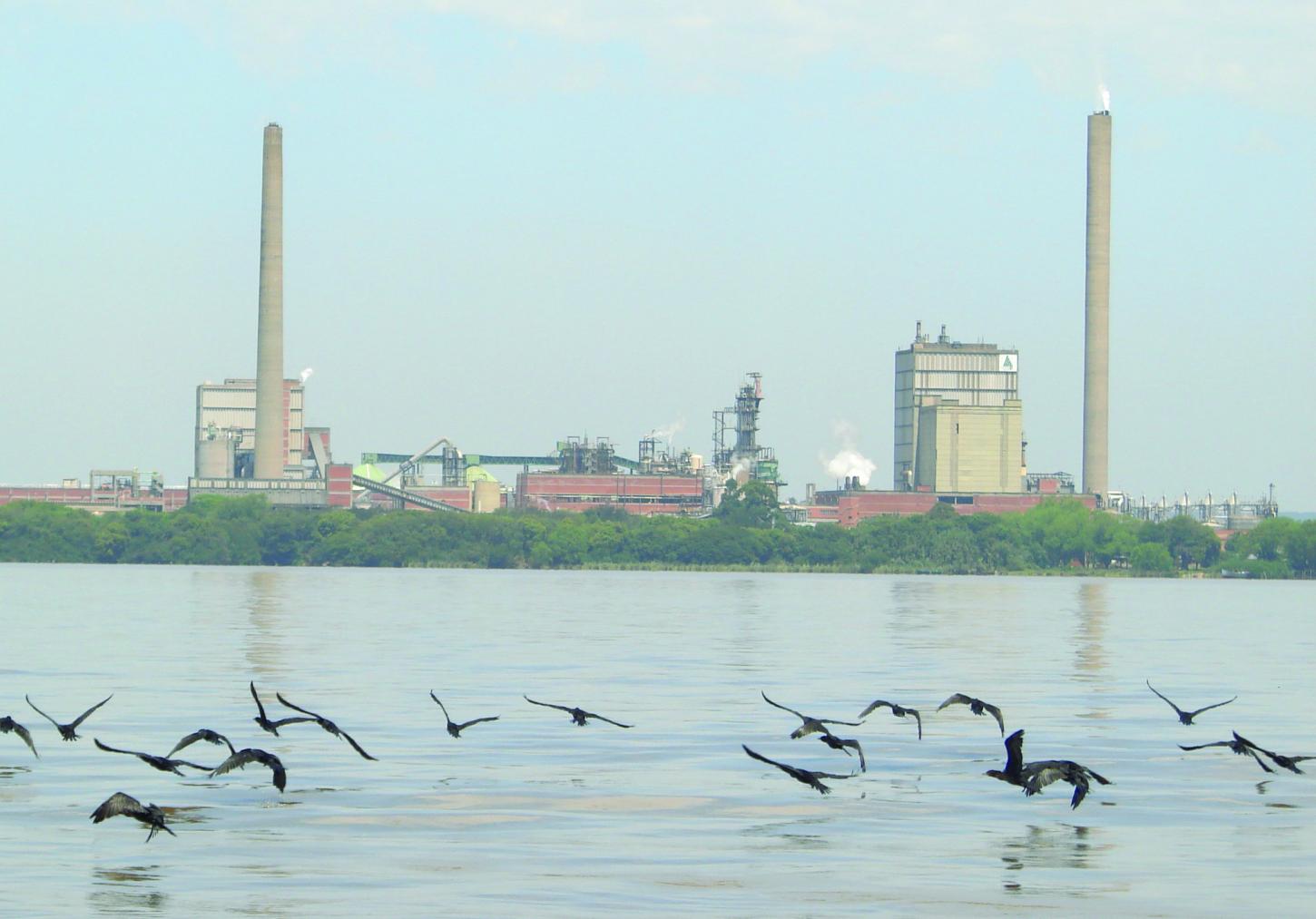 MPF ajuíza ação de licenciamento ambiental da CMPC