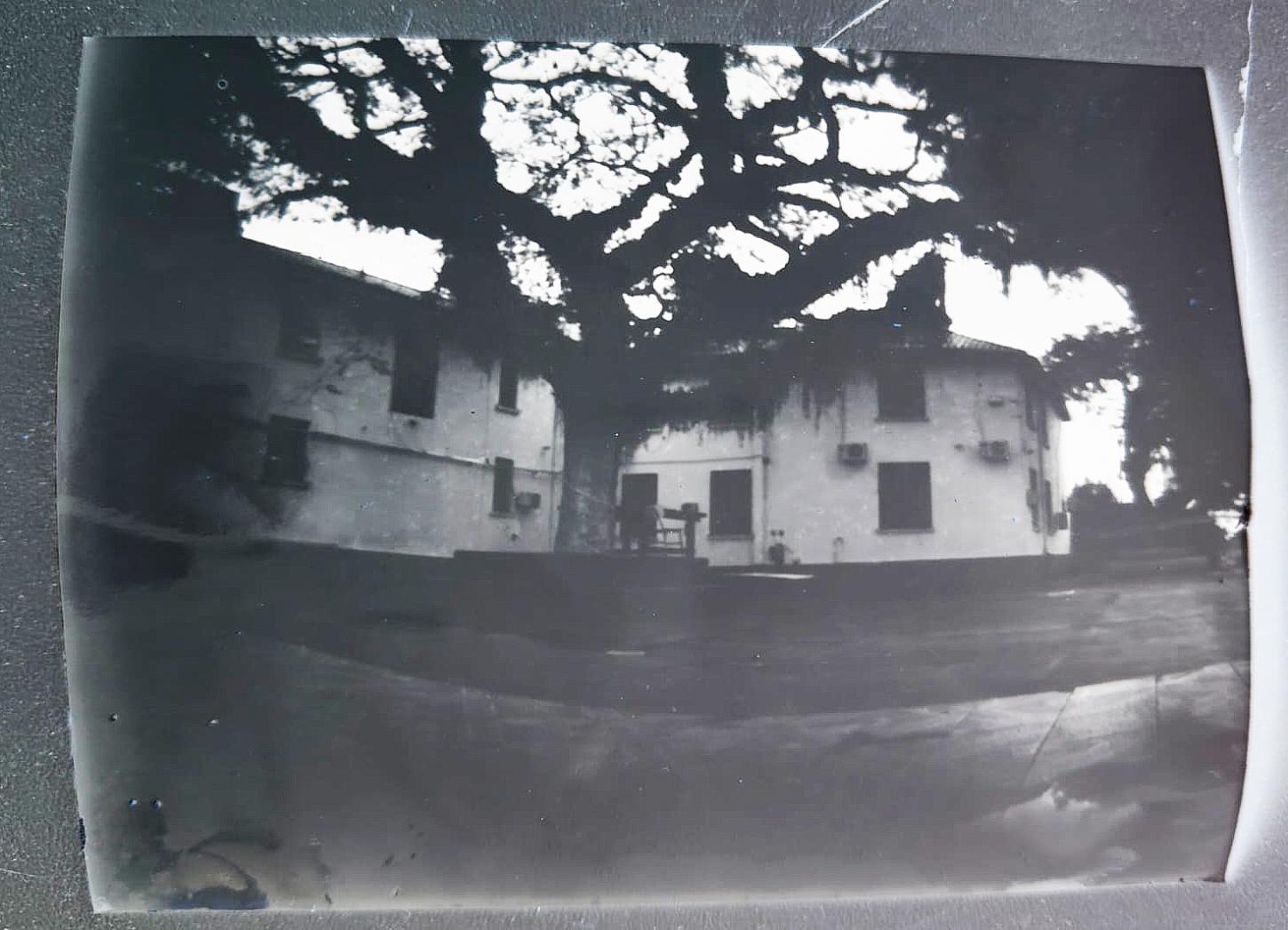 Fotos feitas com porongos e latas contam a história dos 100 anos da cidade